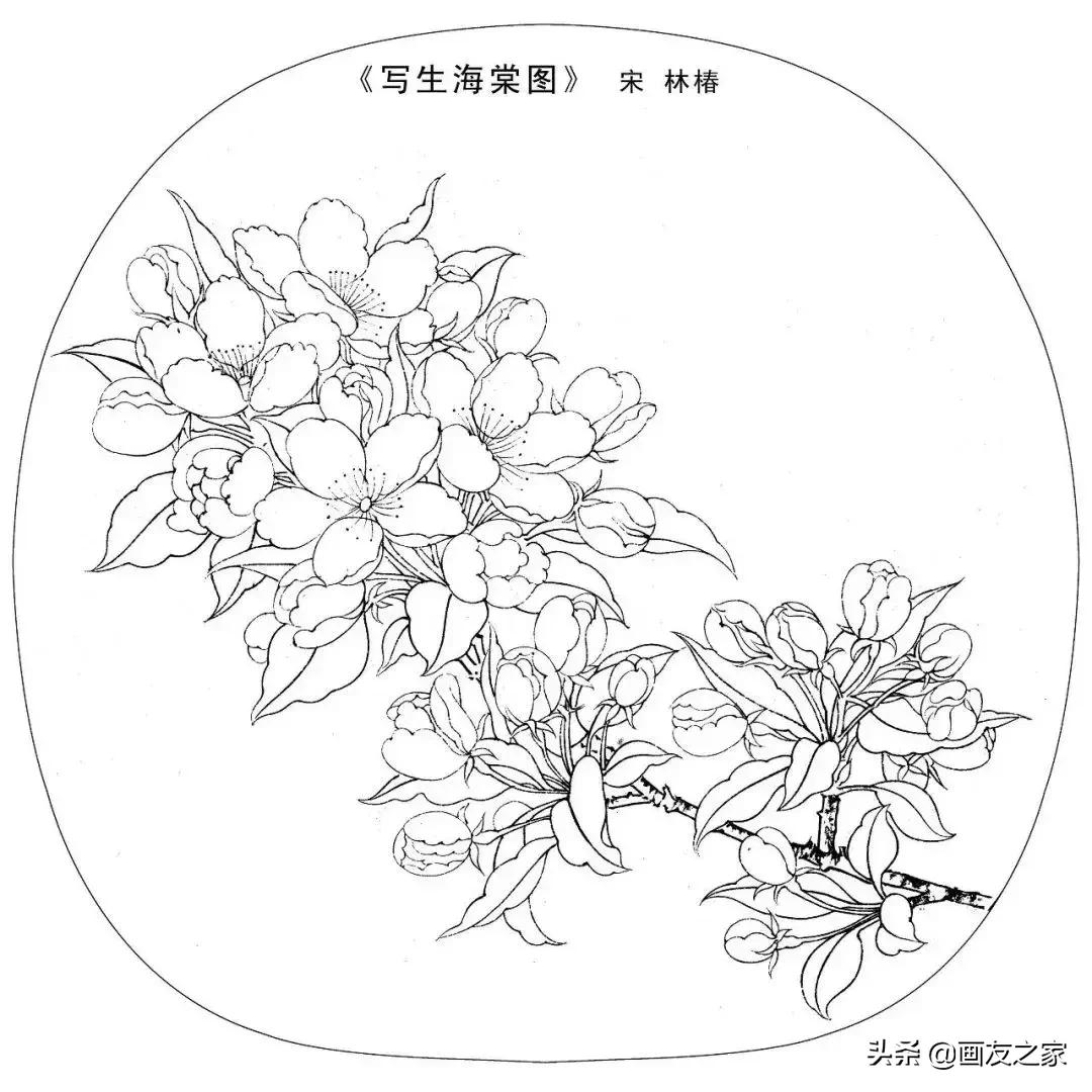 宋花鸟工笔画高清大图临摹过程,宋画工笔画花卉上色教程