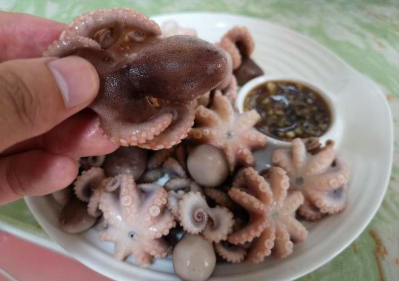 水煮八爪鱼要煮几分钟,清水煮八爪鱼的正确方法