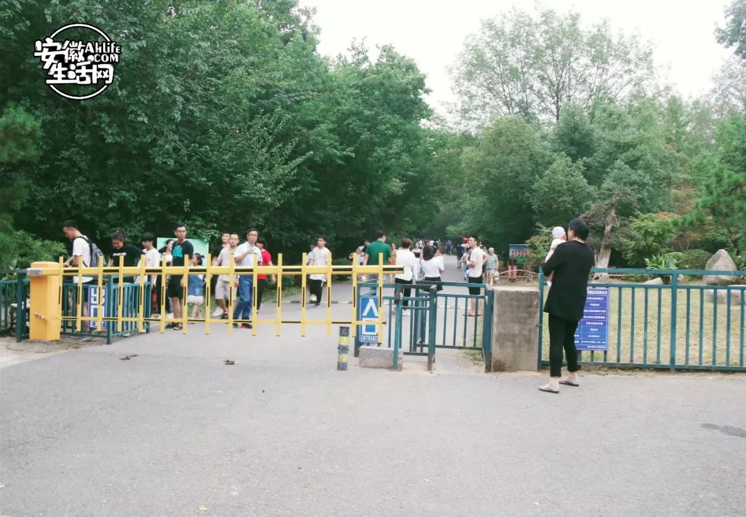 大蜀山,大蜀山爱情故事