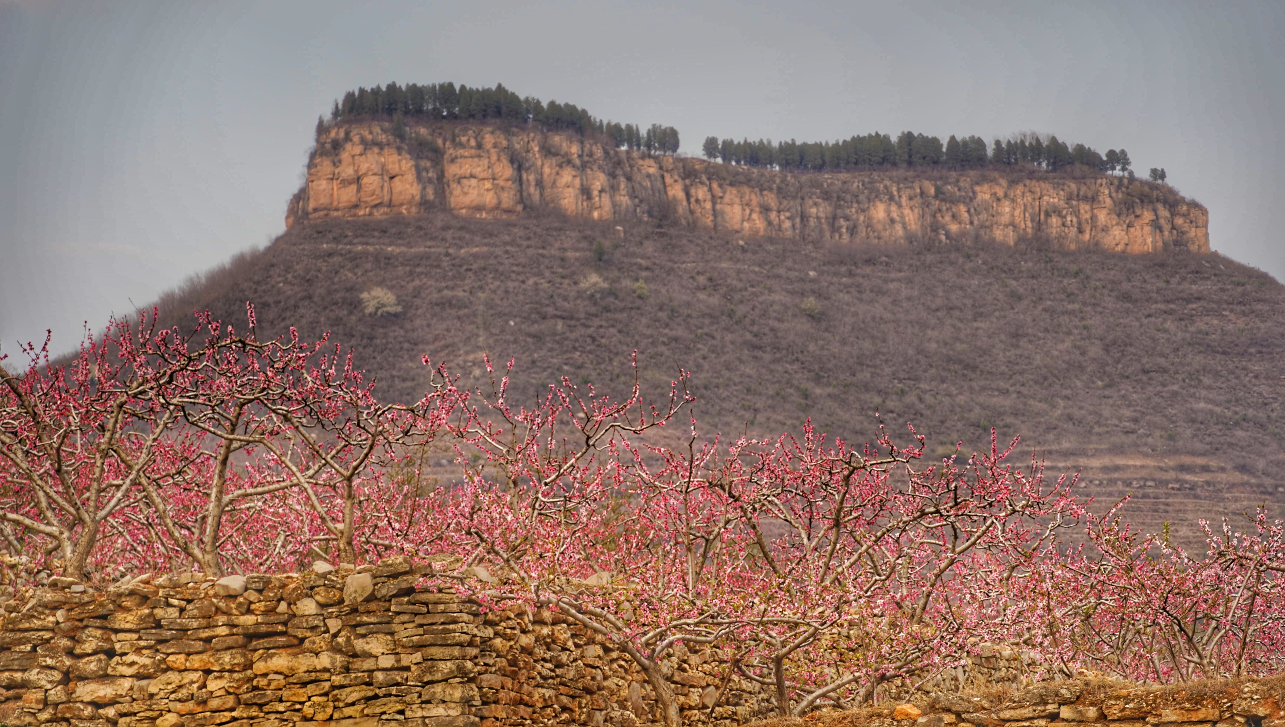 岱崮地貌只有沂蒙山区有吗,沂蒙山世界地质公园岱崮园区