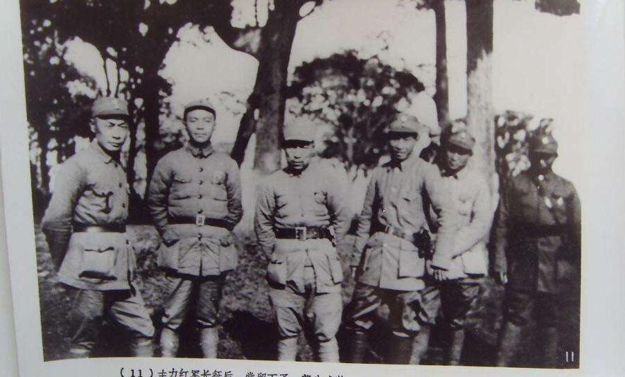 叶飞打金门时候的战况,叶飞上海战役纪录片