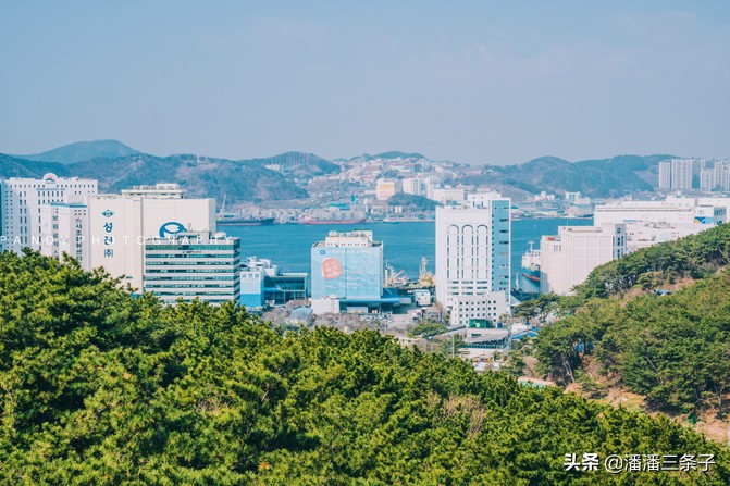 去韩国不购物回来的感受,去韩国一定要买什么