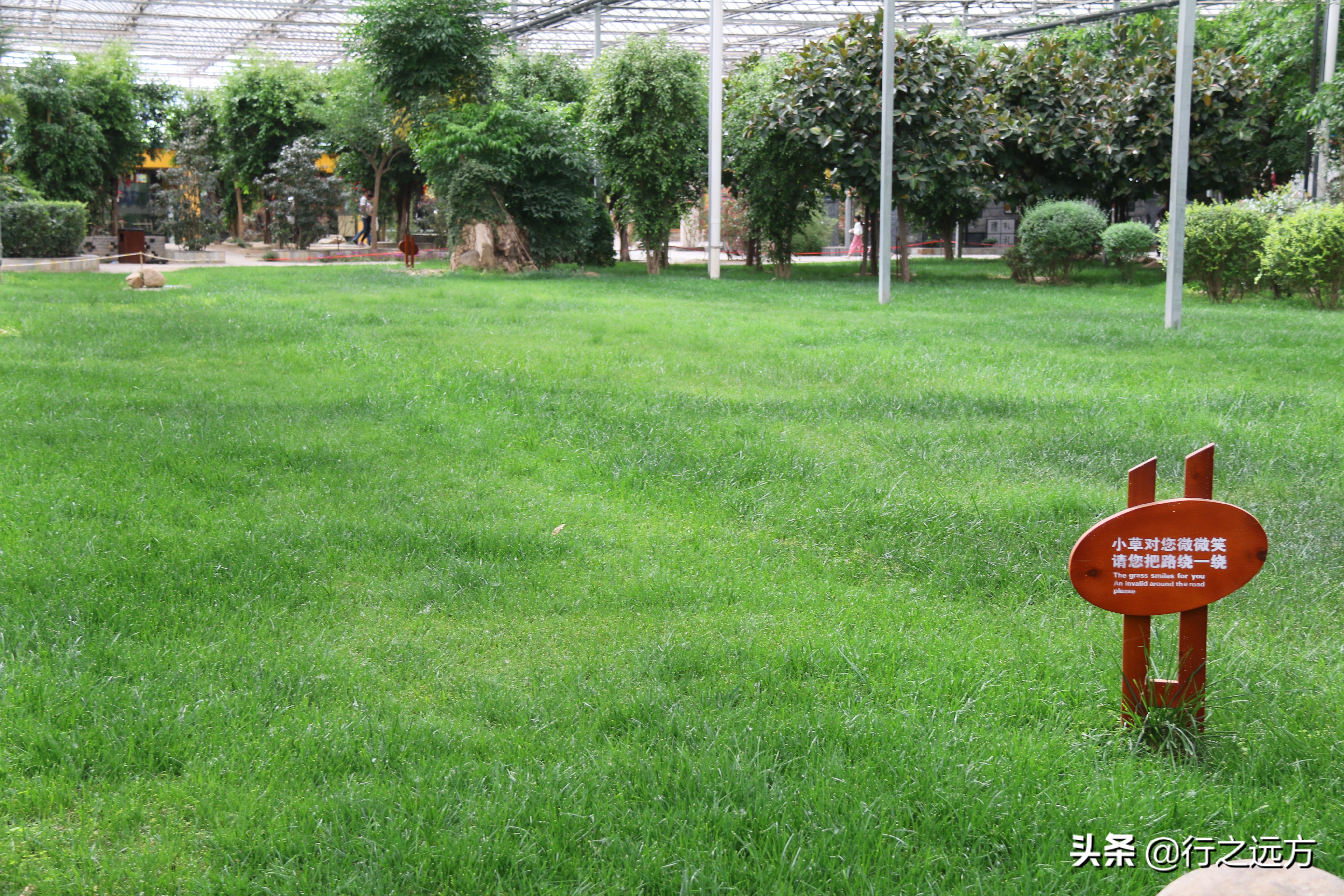 廊坊九天休闲谷人山人海,河北廊坊九天休闲谷