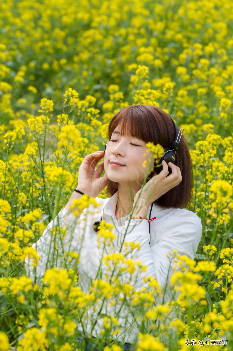 油菜花一片片的像什么,梯田油菜花和平原油菜花