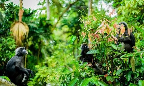 十大亲子度假酒店推荐,国内必去的9大超美亲子酒店