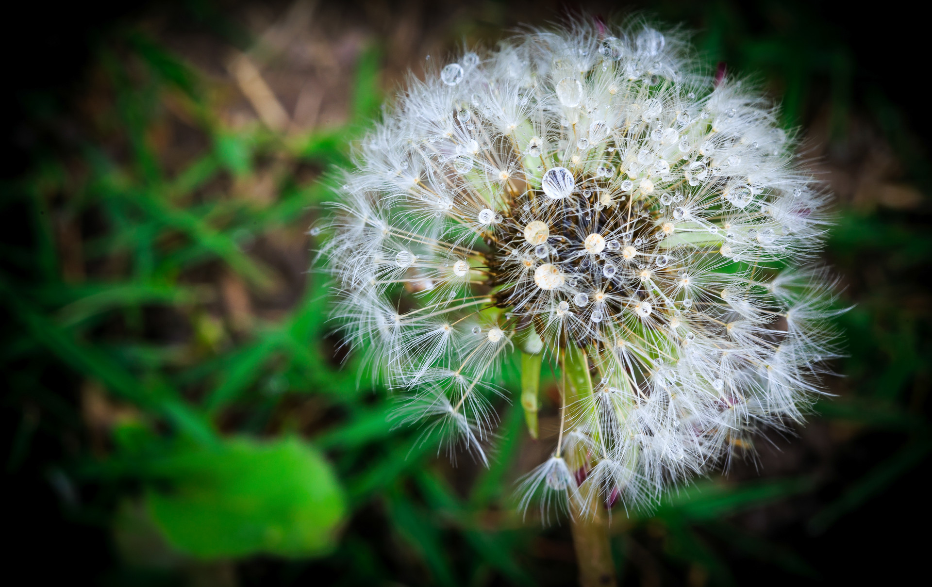 真正吸引人的心理学,心理学让别人喜欢你的心理效应