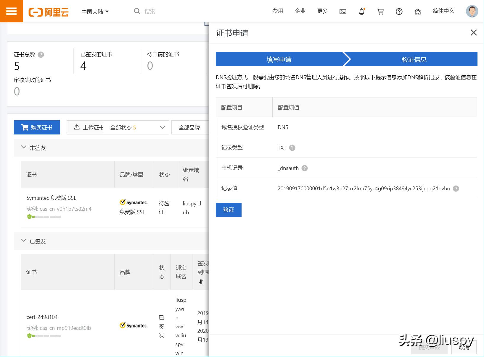 抛砖引玉自投罗网,小白如何搭建网站教程视频
