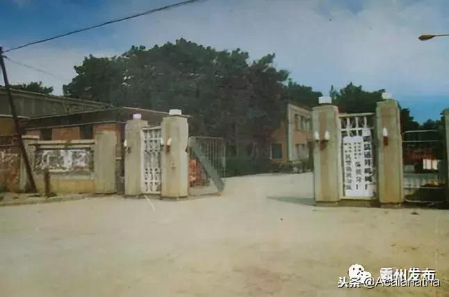 霸州土产公司老照片,霸州老城区图片