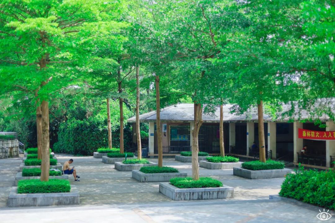 深圳宝藏公园风景图片,深圳宝藏自然游乐区