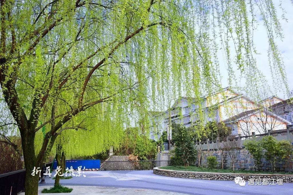 都江堰天府绿道骑行路线图,都江堰周边最美骑行路线