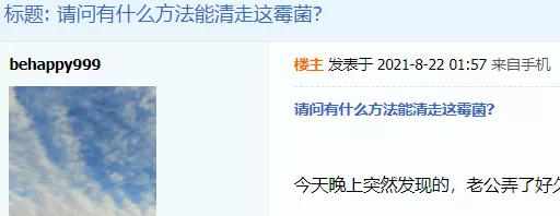 南方潮湿霉菌怎么杀灭,家里被子怎么消除霉菌