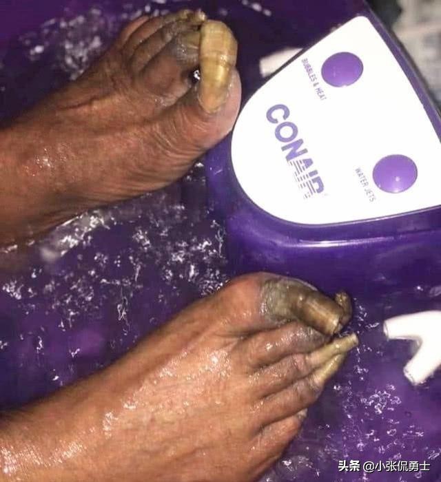 苦心人天不负全文图,苦心人天不负前一句