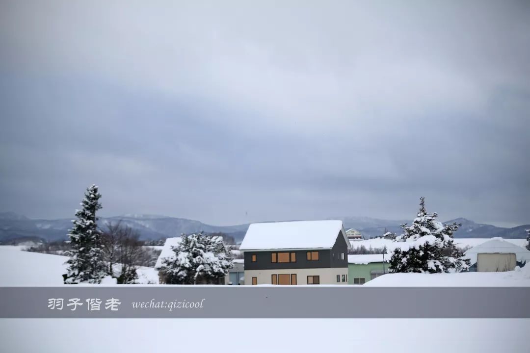 老实说，这一趟北海道就是为了拍好看的照片去的