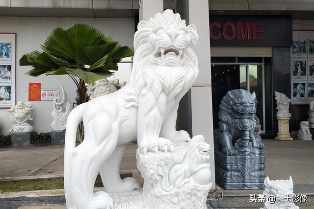 越南芒街下龙河内,越南芒街到下龙大巴