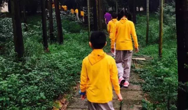 追寻军嶂古道的历史古迹、探索不一样的徒步之旅