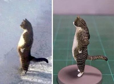 动物表情包沙雕魔性,沙雕动物爆笑瞬间表情包