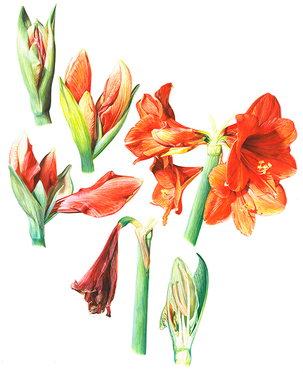 素材库找不到想要的视频怎么办,素材库的东西找不见了