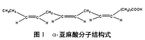 胎儿发育正常还需要补充亚麻酸吗,孕期亚麻酸对胎儿的影响