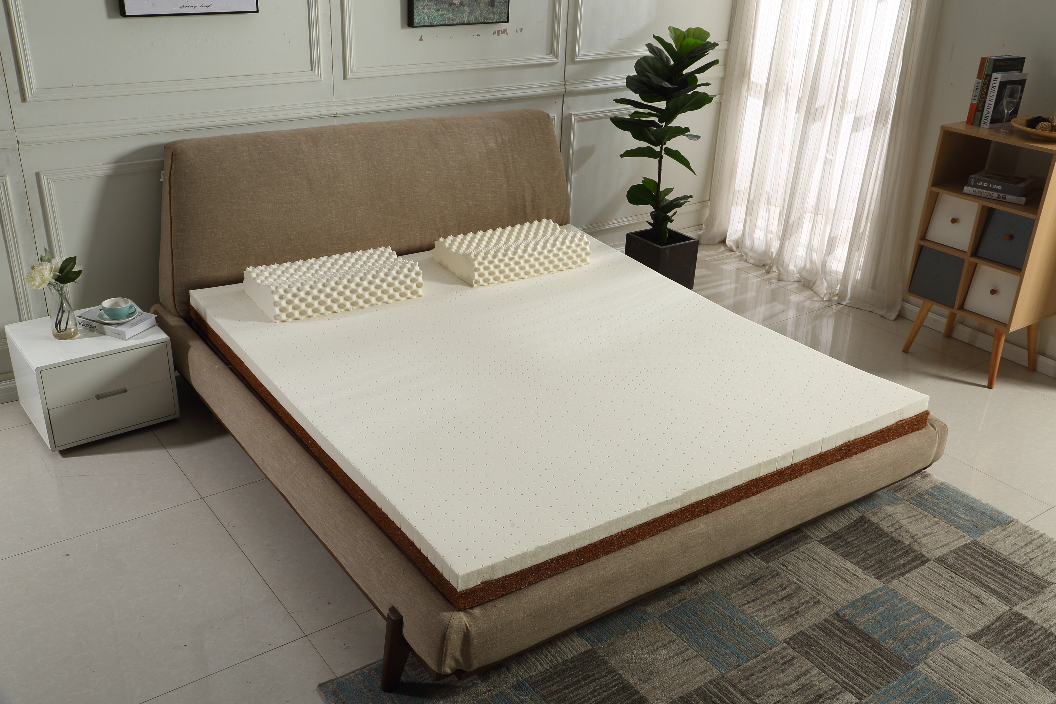 学生宿舍乳胶床垫与椰棕床垫,学生选棕榈床垫还是乳胶床垫