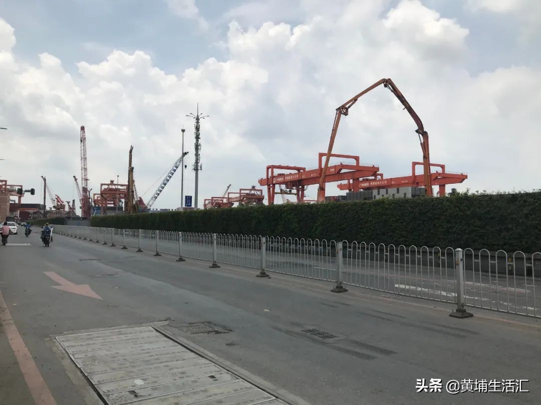 黄埔区怡园小学对应小区,广州黄埔怡园小学有什么楼盘