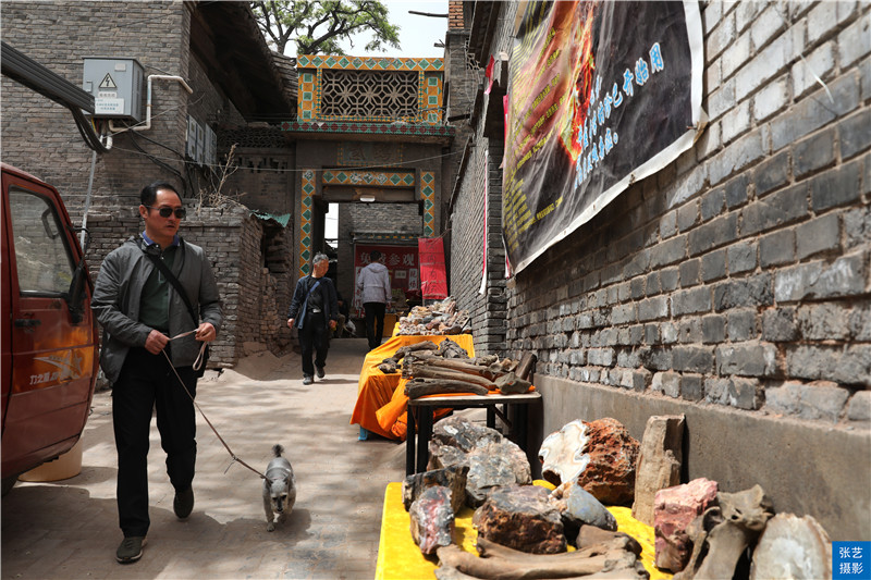 山西平遥石头,平遥公园捡珍贵石头