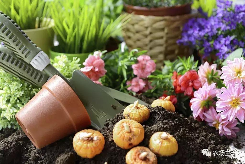 农村小本创业机器,小本创业最赚钱的20个项目有哪些