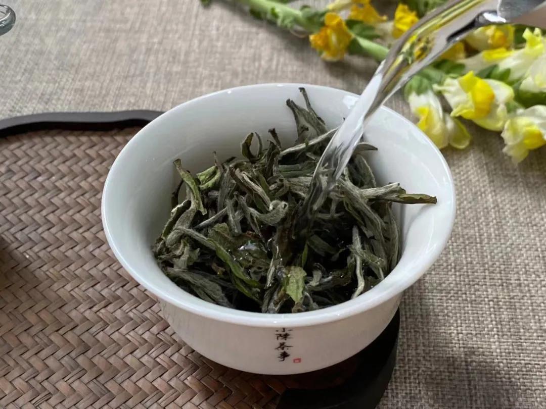 白茶口感像什么茶一样好喝,白茶与铁观音的香型区别是什么