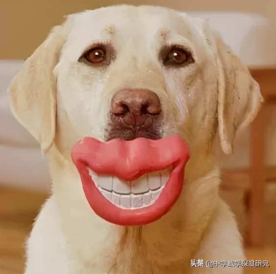 不会说话得罪人该怎么办,说话容易得罪人的人如何与人相处