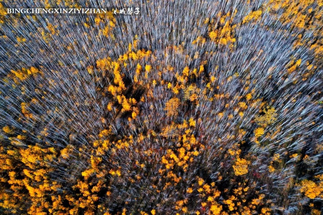 深秋的大兴安岭色彩斑斓,大兴安岭的秋天美景