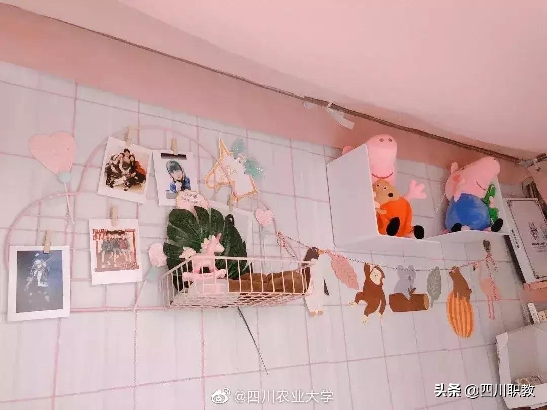 川大宿舍是几人一间,川大一寝室12人全部读研