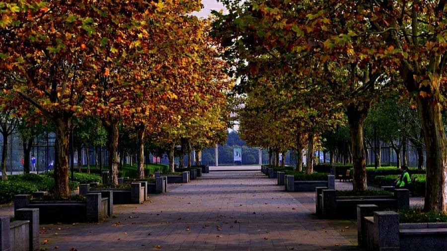 离了婚又觉得孩子苦还是别离婚了,离了婚的孩子有多痛苦