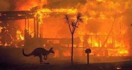 新冠肺炎、澳洲大火、东非蝗灾一系列灾难:2020年到底怎么了