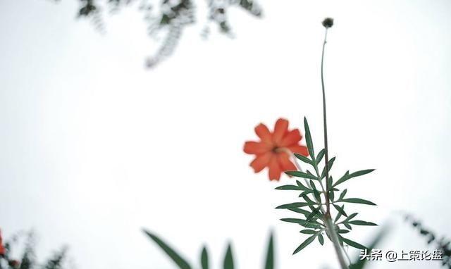 期货交易中遇到亏损如何自救,期货市场赔钱技巧