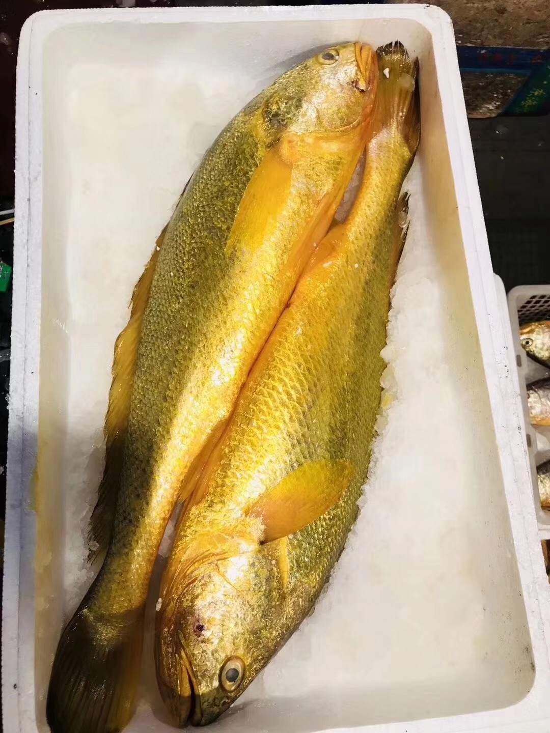 东海海鲜美食大全,家乡特色海鲜美食