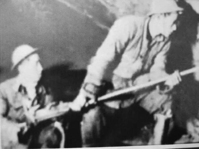 邯郸丛台区文广旅局,丛台区文化广电和旅游局