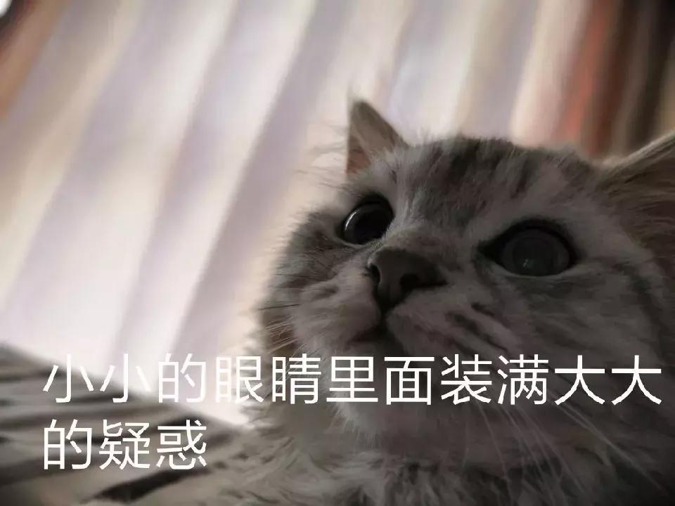 各大车企的优劣,各大车企突出的特点