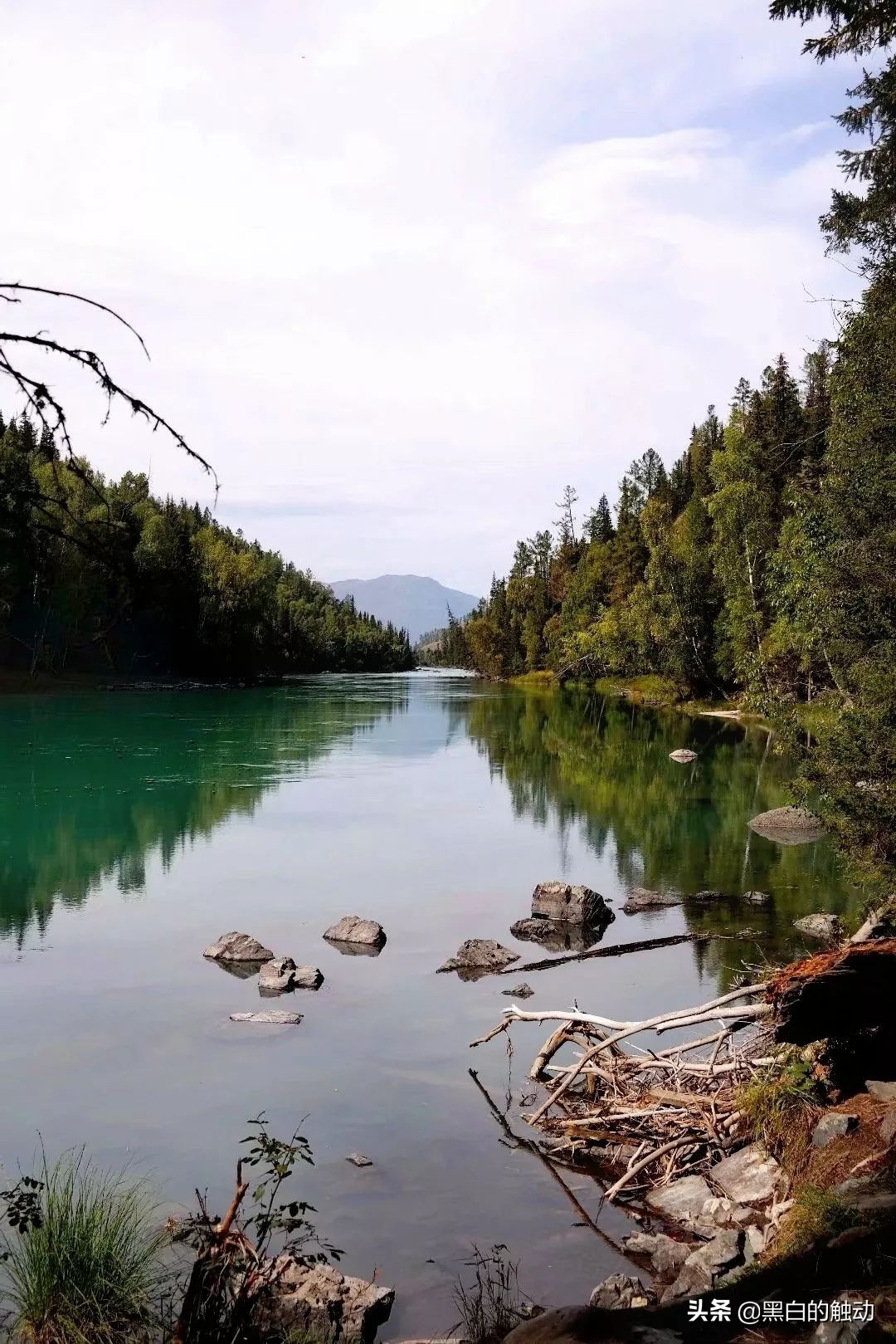 都说新疆好去新疆发展可靠么,都说新疆好地方