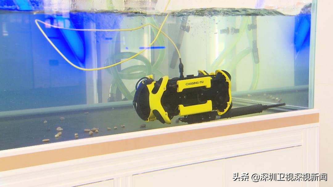 探秘比亚迪车间精益管理,探秘比亚迪车间的精益管理