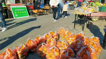 北京自驾游最佳攻略免费观看,北京最美自驾游路线推荐