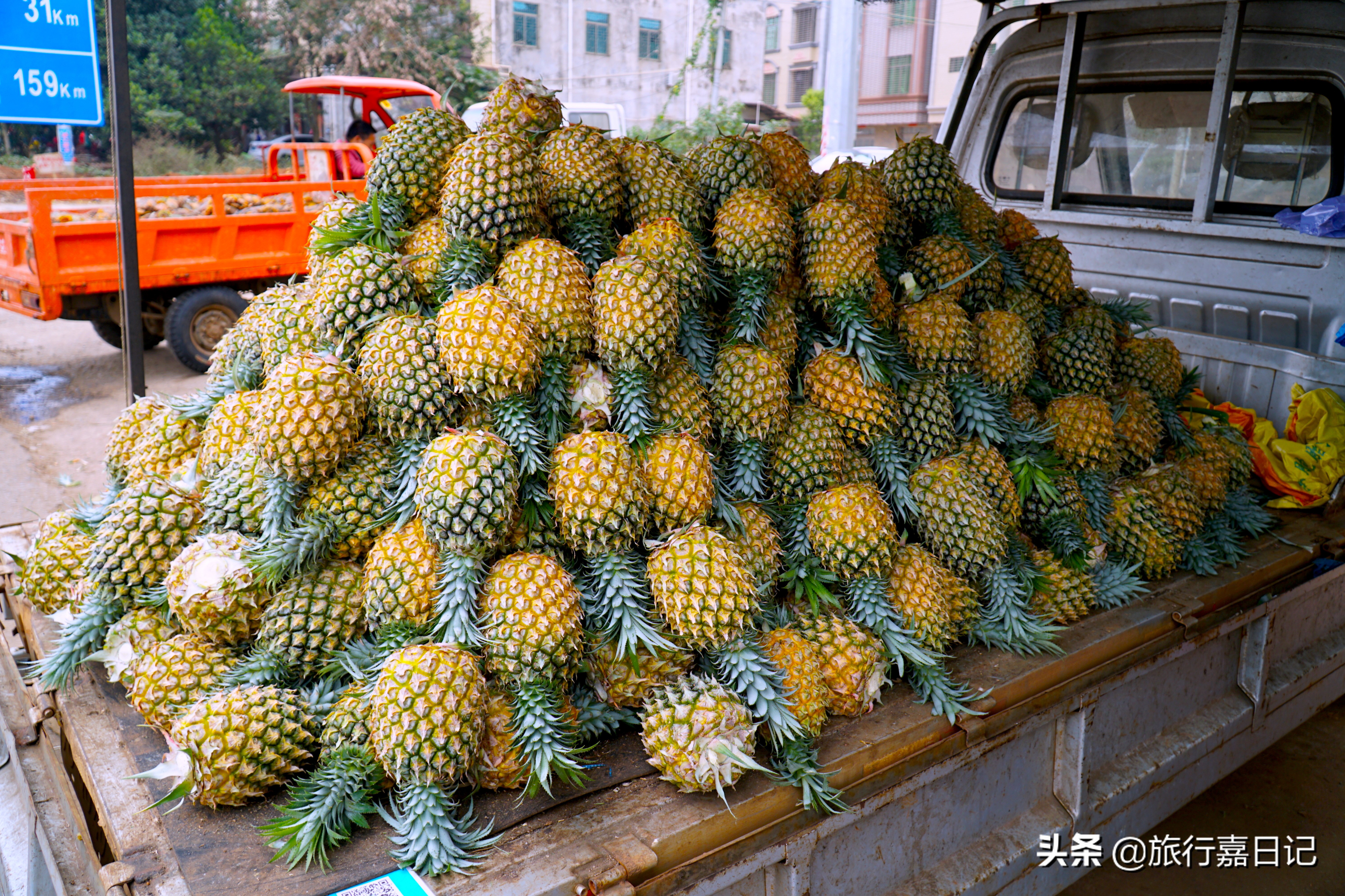 重庆到海南6天自驾游攻略,自驾游重庆到四川4天