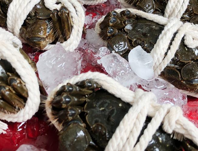 阳澄湖大闸蟹储存温度储存天数,蟹帆阳澄湖大闸蟹怎样保存