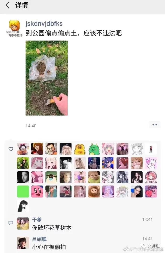 猫咪带回家后不解手,学会哪招才能让不听话的猫咪听话