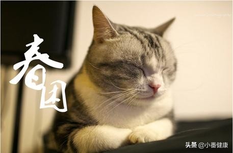 春季护肝的中成药,护肝春季