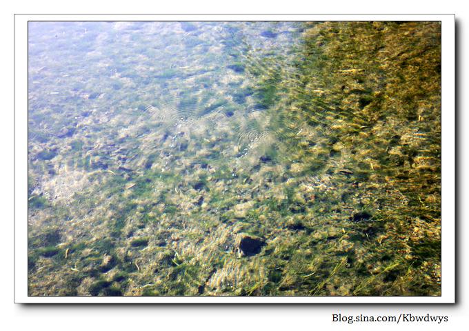 生活杂记|济南章丘百脉泉（20111212）