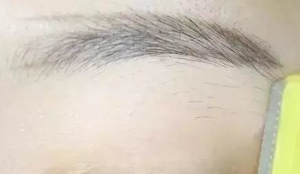 眉毛怎么修更好画,眉毛修毁了怎么画眉毛