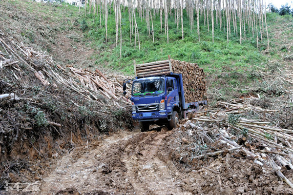自卸拉木头神器,山区拉木头神器
