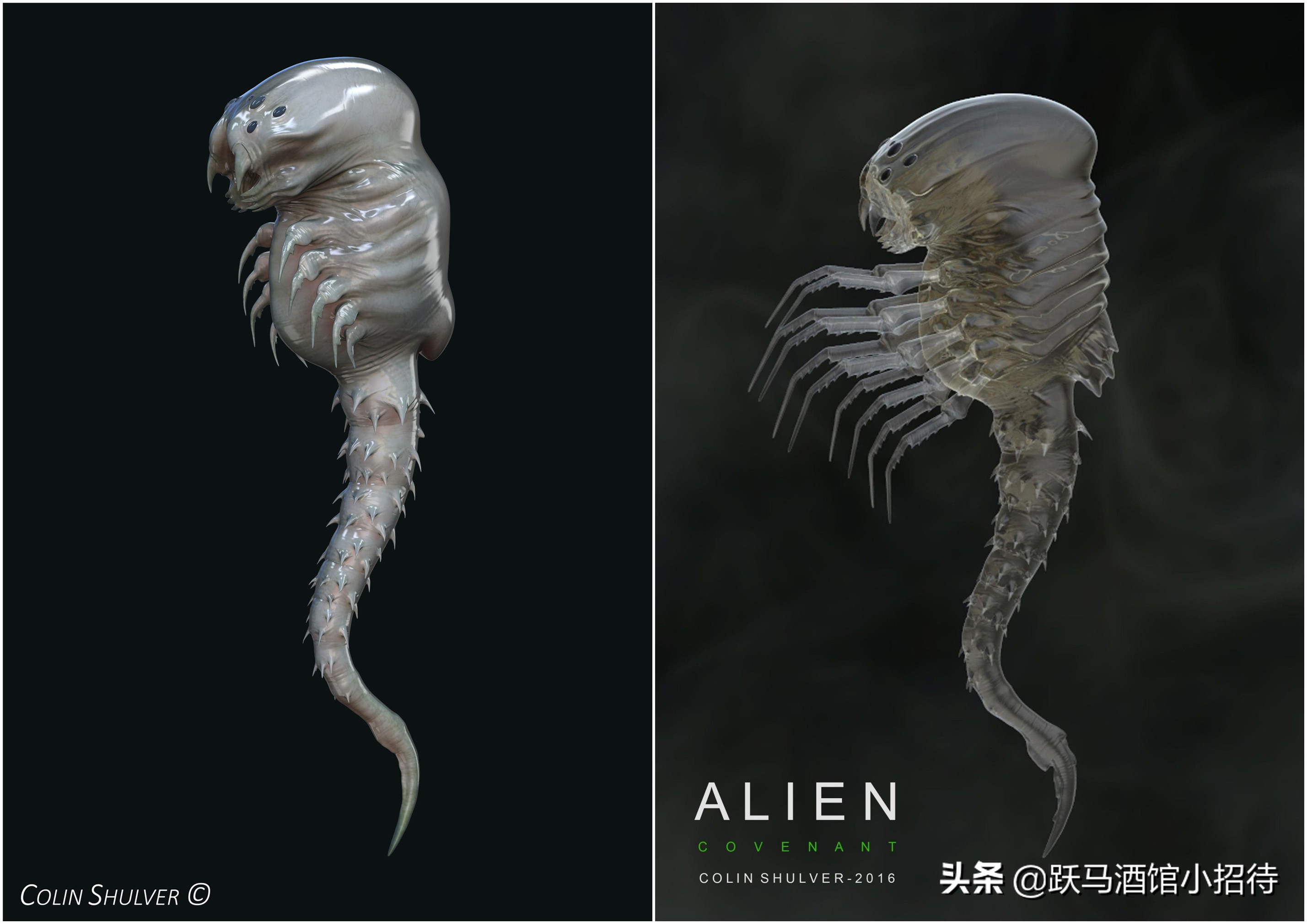 异形是大卫创造的吗,异形大卫的实验室原版