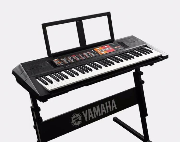 电子琴和电钢琴怎么选择,电子琴和电钢琴哪个更适合初学者