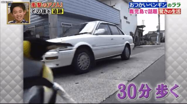 去世的小企鹅,死去的南极企鹅