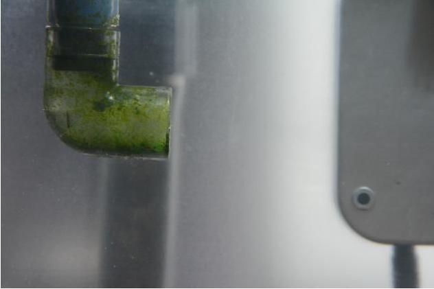 鱼缸经验,鱼缸换水实践经验分享